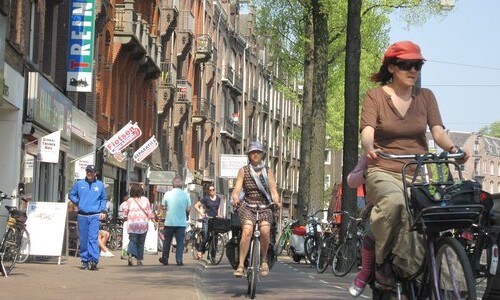 Bilderdijkstraat: Road safety vs trees